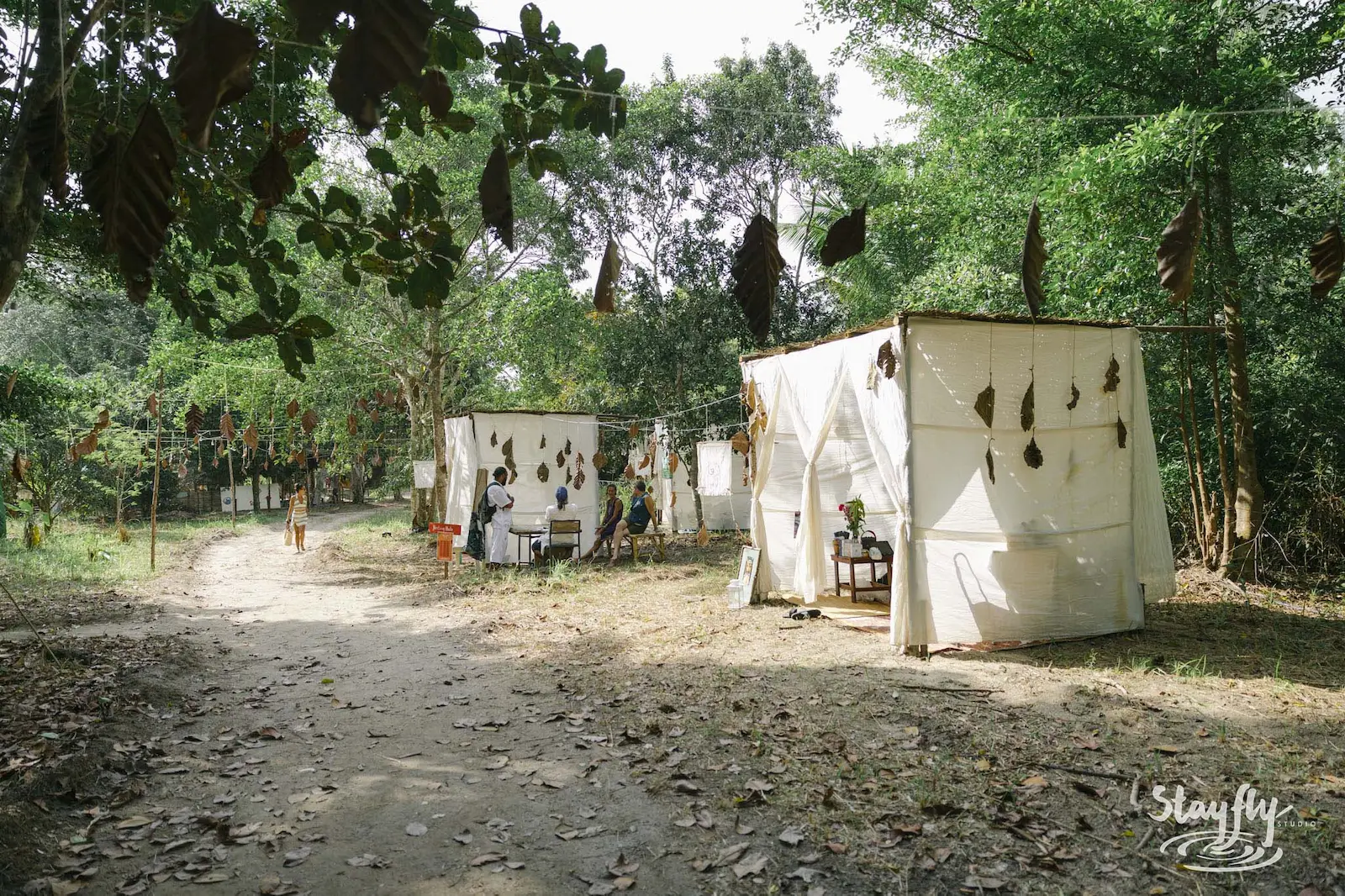 White fabric shelters and treatment tables beside a tree-lined path.