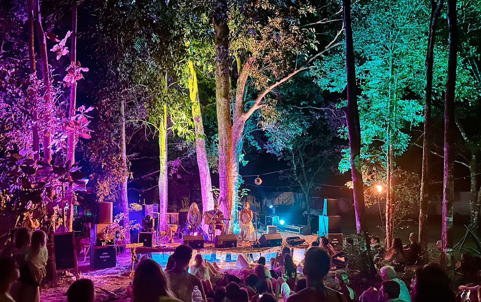 A stage among tall forest trees lit pink, green and amber at night, with an audience gathered in front of it.